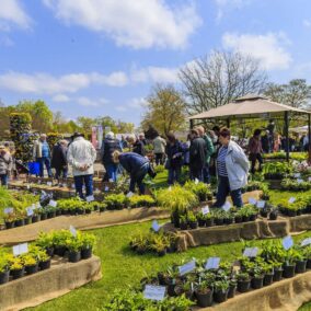 Gartenmarkt BlumenLust und FrühlingsDuft